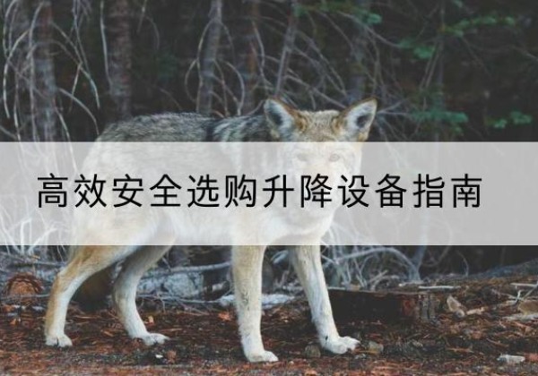 离石升降货梯厂家推荐-*安全选购升降设备指南