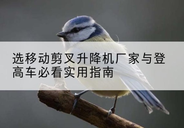 离石电动升降机厂家-选移动剪叉升降机厂家与登高车必看实用指南